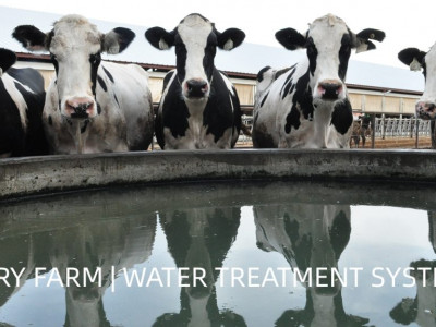 Tratamento de água em fazenda leiteira