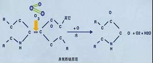 How to choose UV sterilizer and ozone generator?