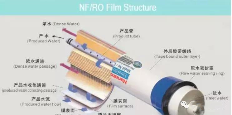 Estructura de la película