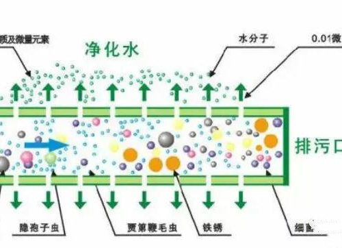 Ultrafiltration membrane supplier