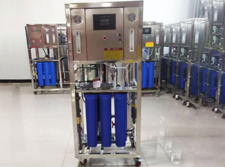 250LPH-1000LPH Lightweight and flexible Economic Reverse Osmosis Plant lower price with display screen