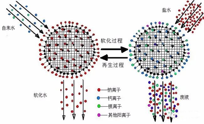 Regeneration method flow for water softener boiler