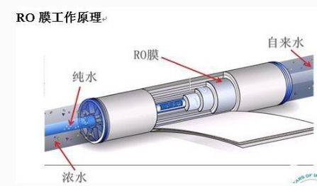 RO membrane