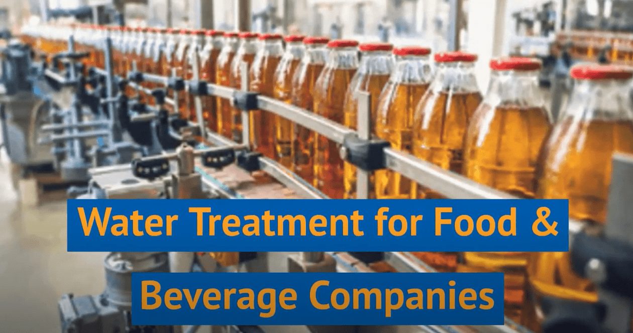 Water Treatment in the Food and Beverage