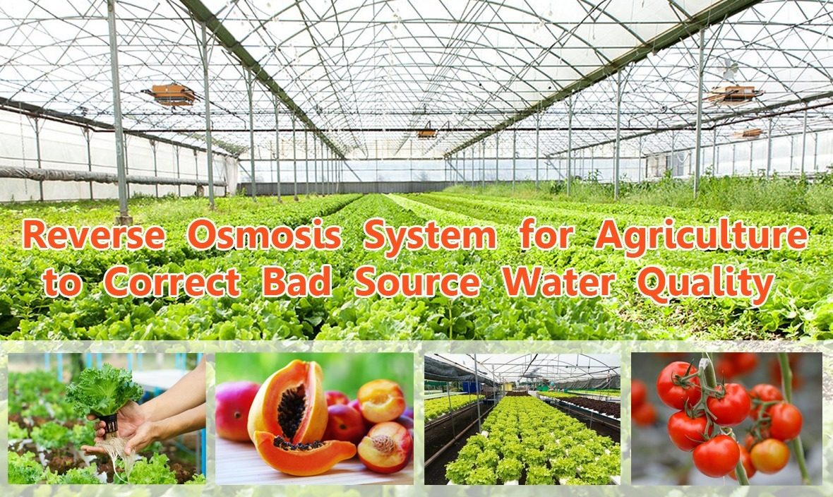 tratamiento de agua en la industria agrícola