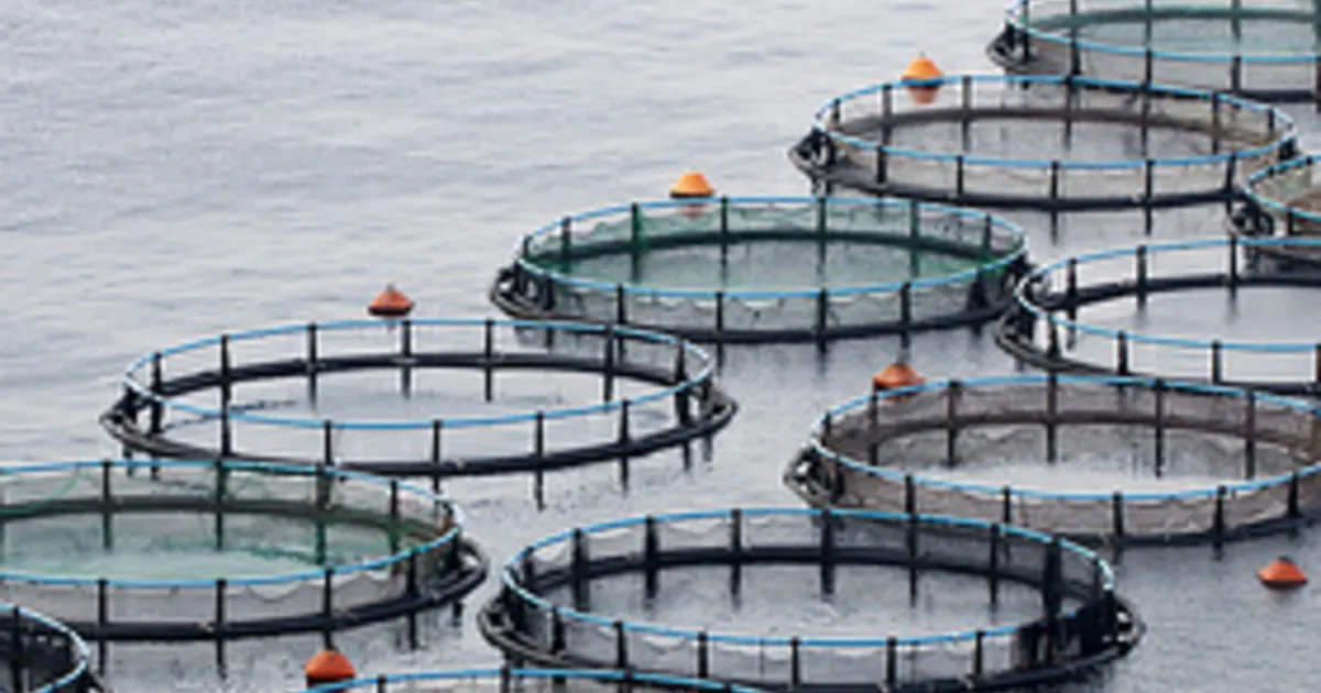 Water Treatment in Aquaculture