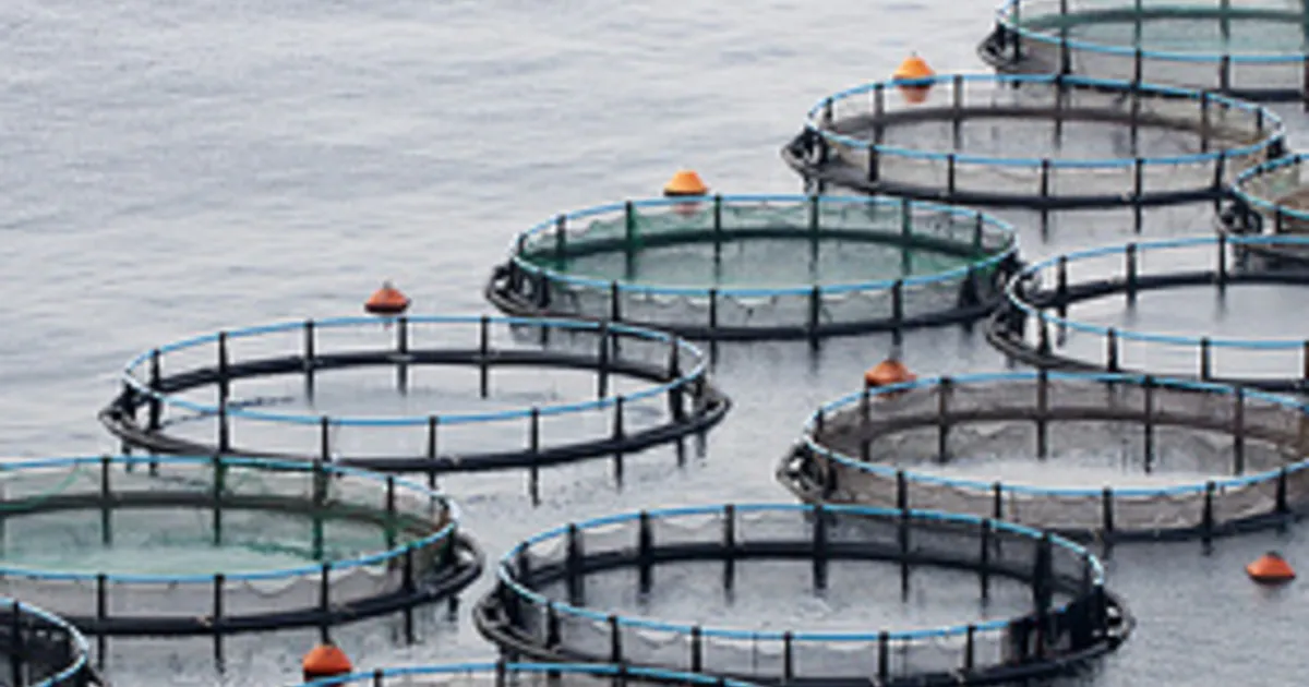 Tratamento de Água em Aquicultura