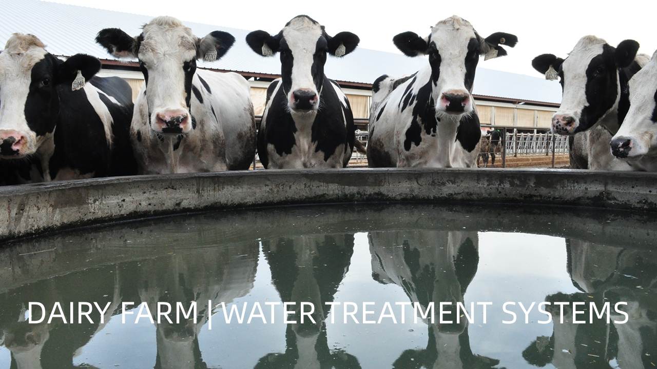 water treatment in dairy farm
