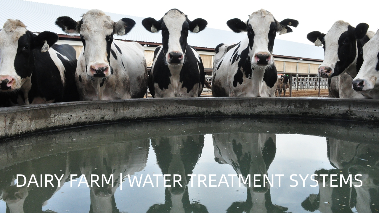 traitement de l'eau dans une ferme laitière