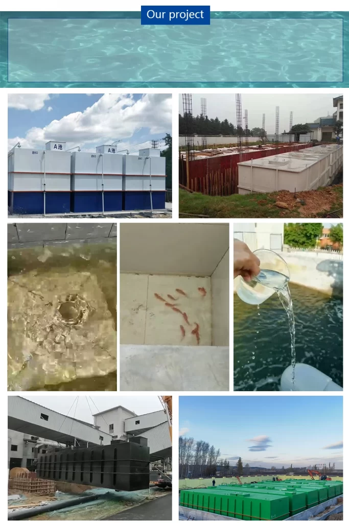 Sewage Treatment project